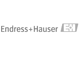 Endress Hauser